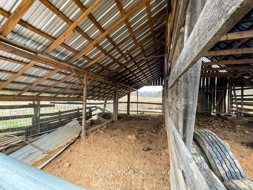 Copy of C3F3605B-EB22-4BBD-80B7-0018BD79D0BF