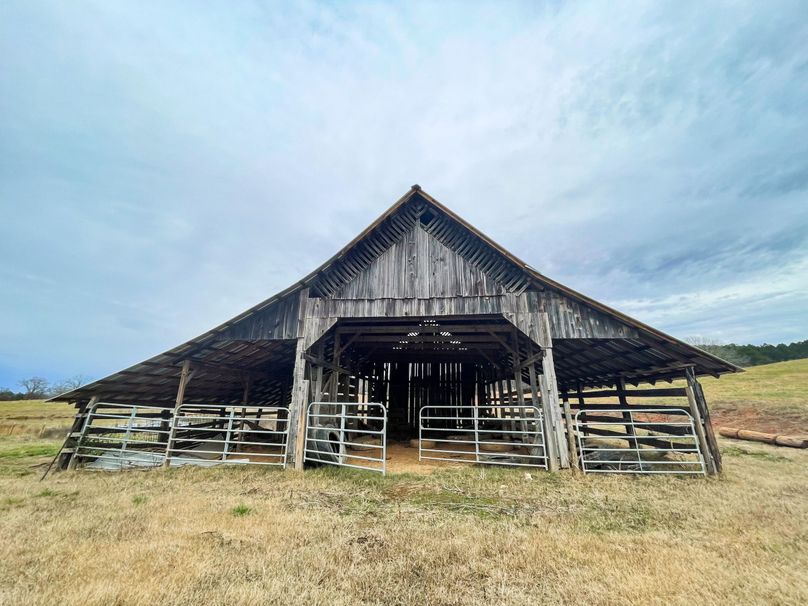 Copy of 348AB1B7-8378-493A-9541-55C018C676DD