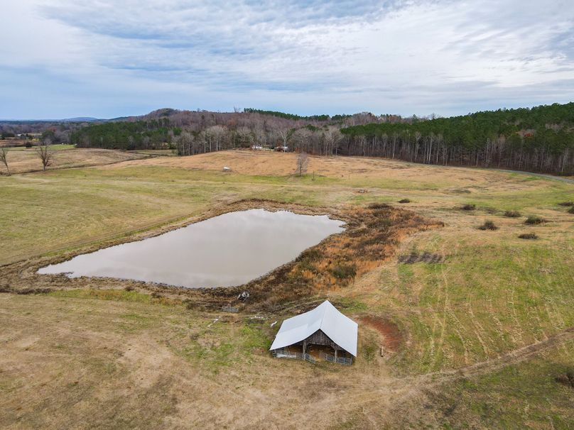 Copy of B3DA5D69-7669-4200-9988-A356756558B1