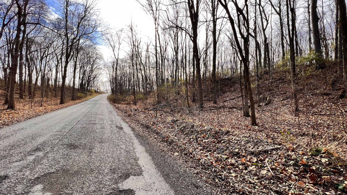 Wooded Acreage Located Near Lafayette, Indiana And I65 Whitetail