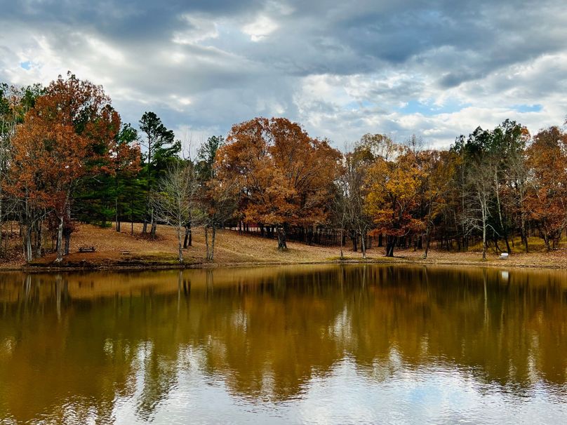 (24)Pond with a view
