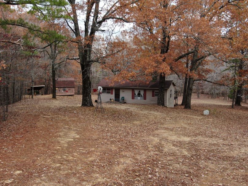 (7)Cabin and Outbuildings