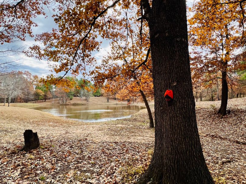 (22)Pond View through woods