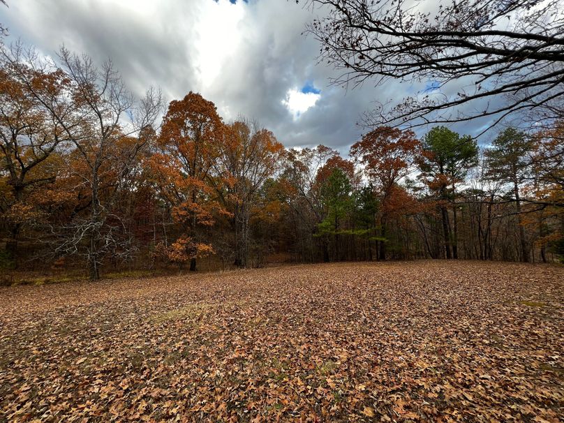 (32)Front Left Field