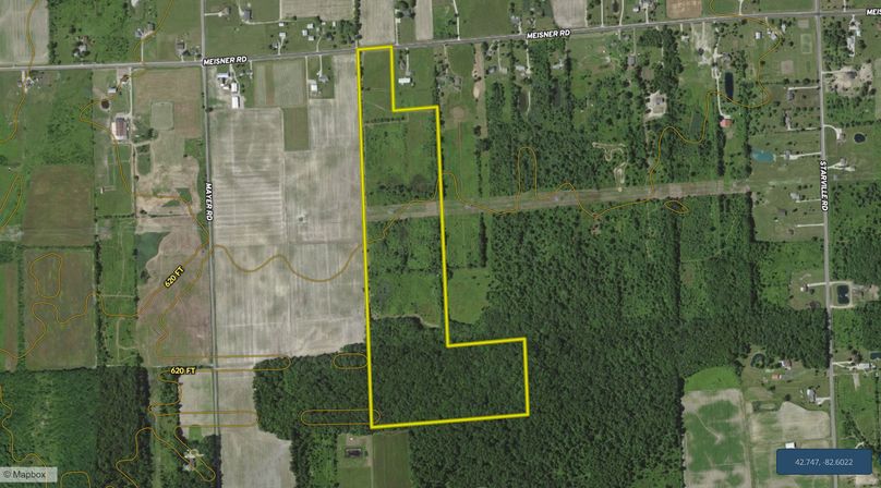 DeGeuisippi, Contour