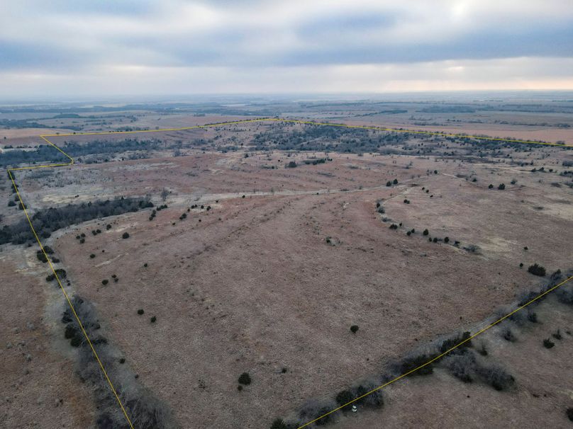 Dickinson227_004 copy