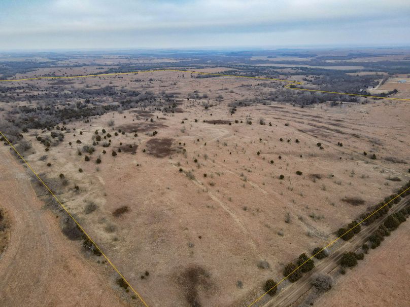 Dickinson227_001 copy