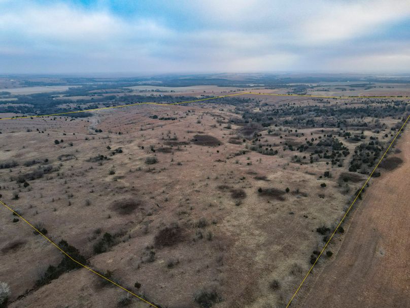 Dickinson227_003 copy