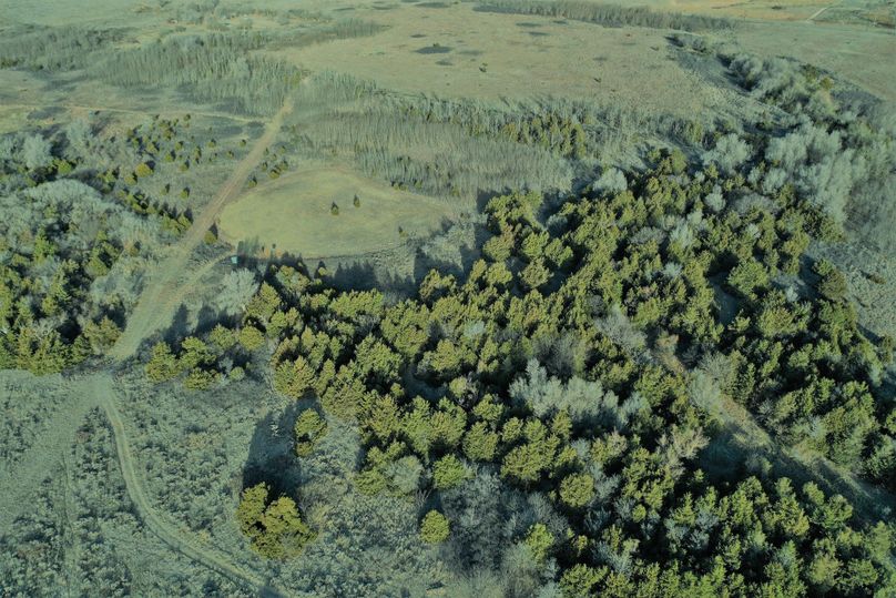 DJI_0741