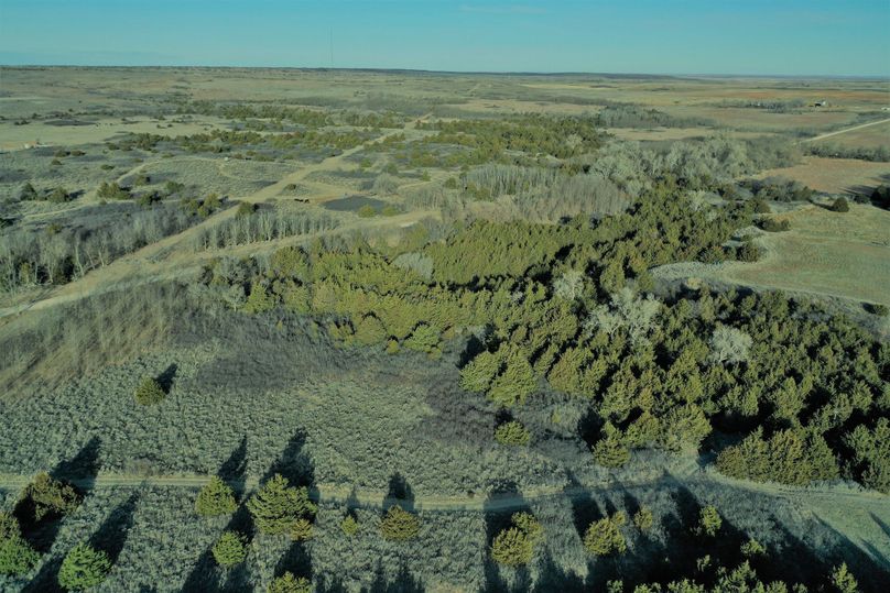 DJI_0748