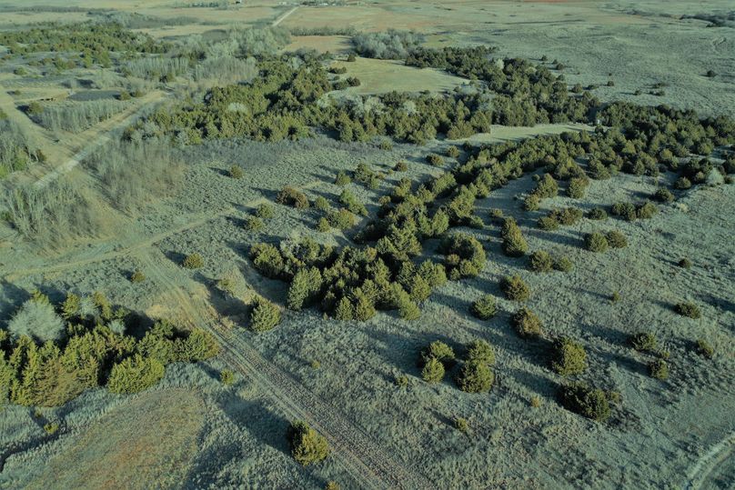 DJI_0745