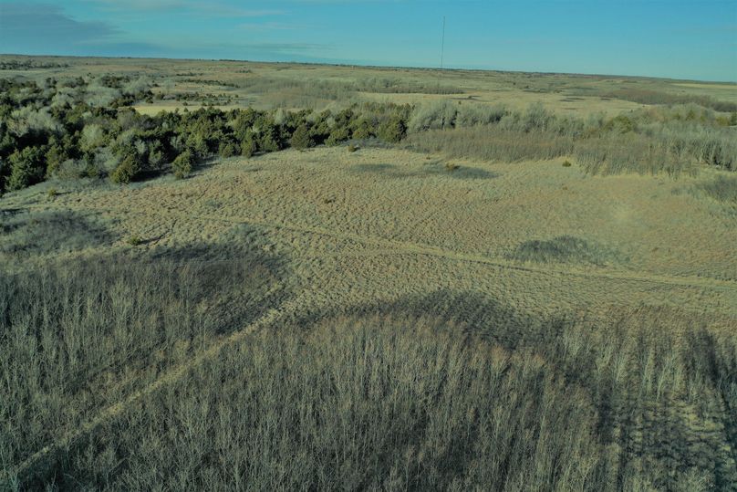DJI_0715