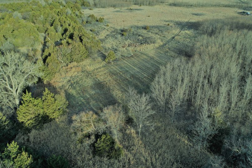 DJI_0730