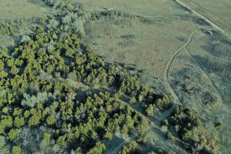 DJI_0742