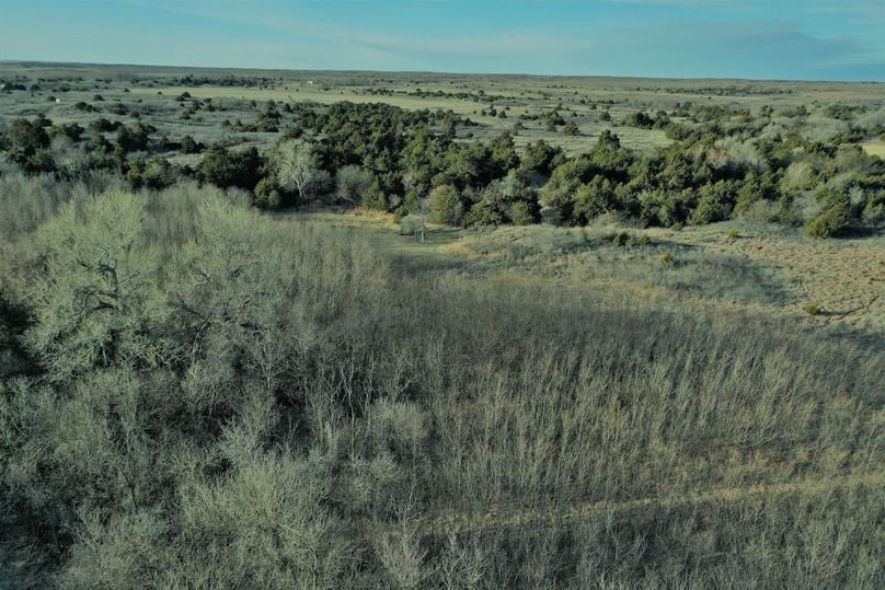 DJI_0714