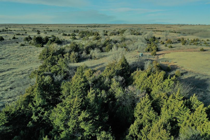 DJI_0734