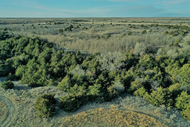 DJI_0722