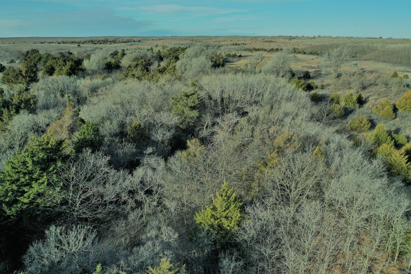 DJI_0736