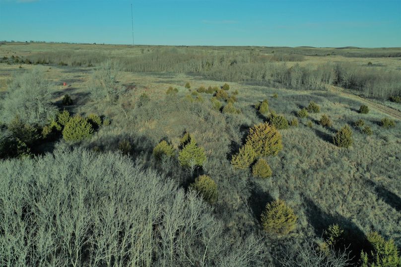 DJI_0737