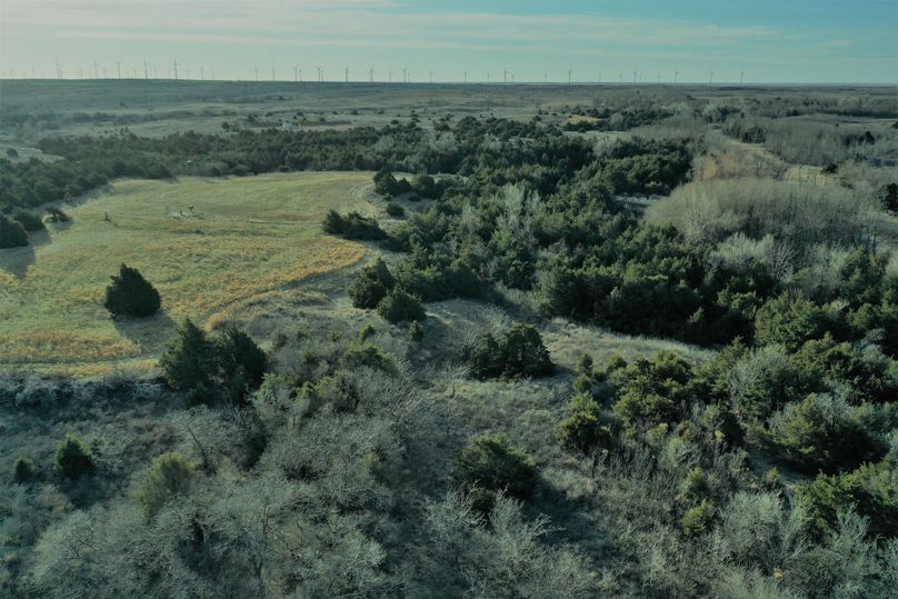 DJI_0716