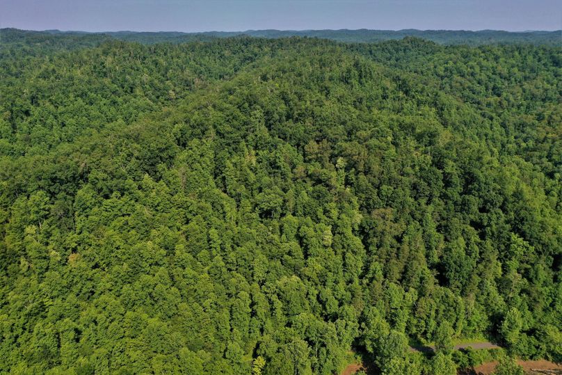 017 beautiful views of the property and Appalachians 