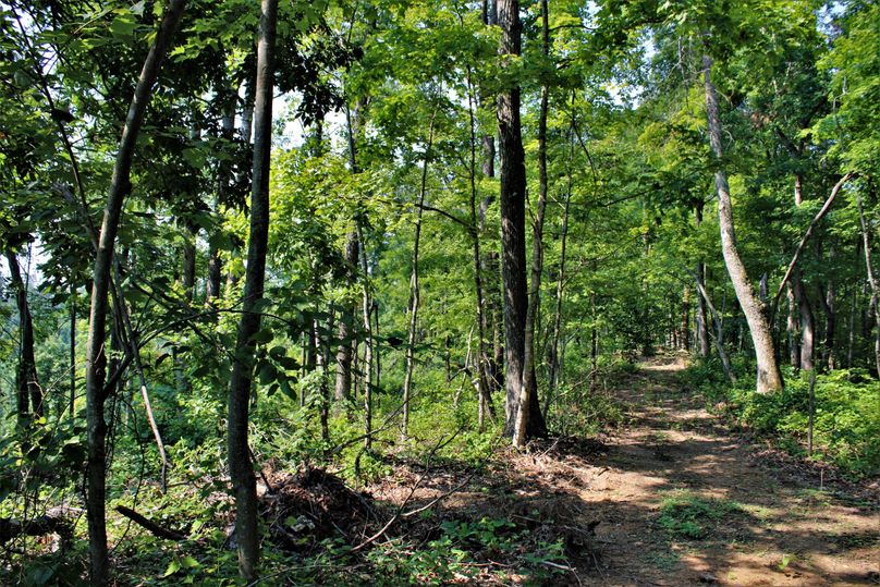 008 great trail system along the ridgetop