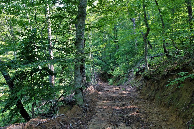 011 nice open trail system throughout the property