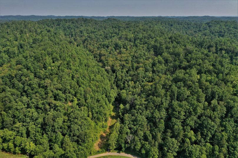 001 beautiful birds eye view of the property entrance and main valley