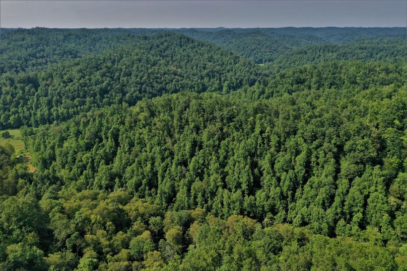006 awesome birds eye looking south over the property