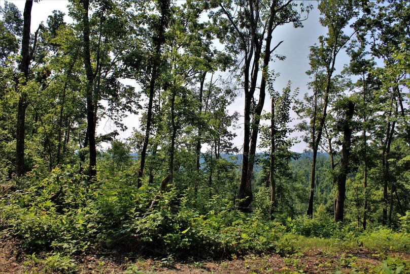 019 beautiful views looking over the valley
