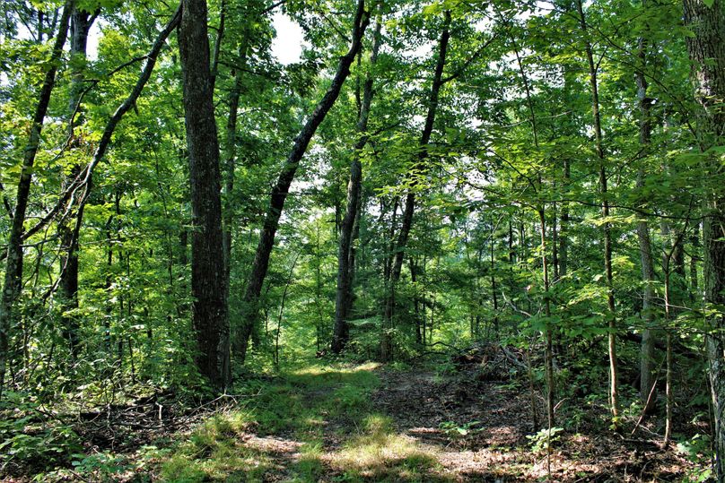 018 gorgeous scenery amongst the ridgetops