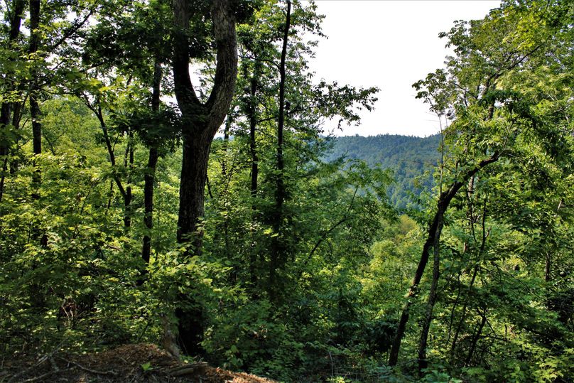 010 beautiful view looking over the valley