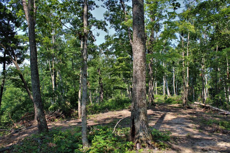 013 nice flat ridgetops