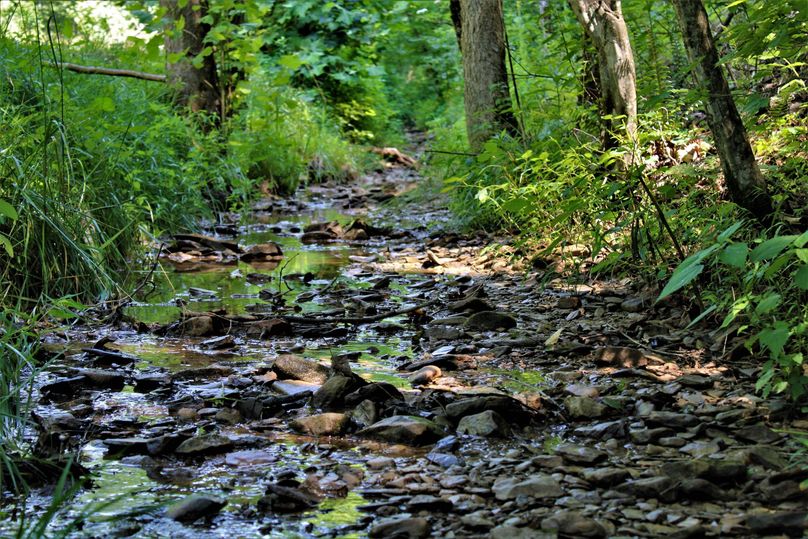 003 gorgeous stream alongside the house seat