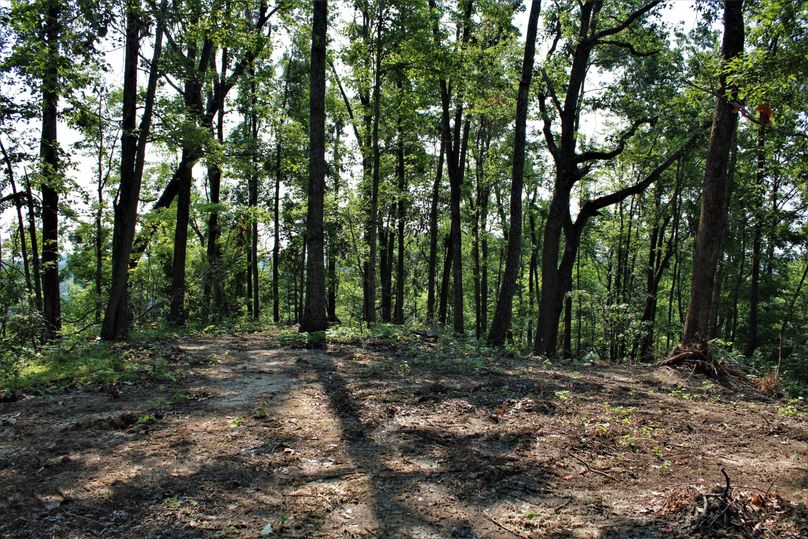 009 nice cleared flat along the ridgetop