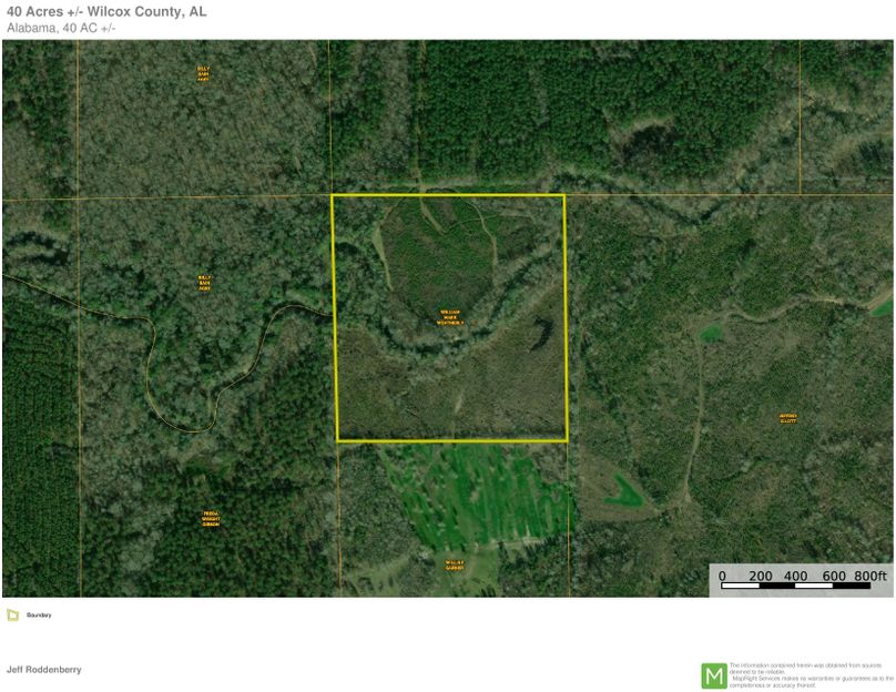 Wilcox County, AL 40 Acres Anderson-page-0 (1)