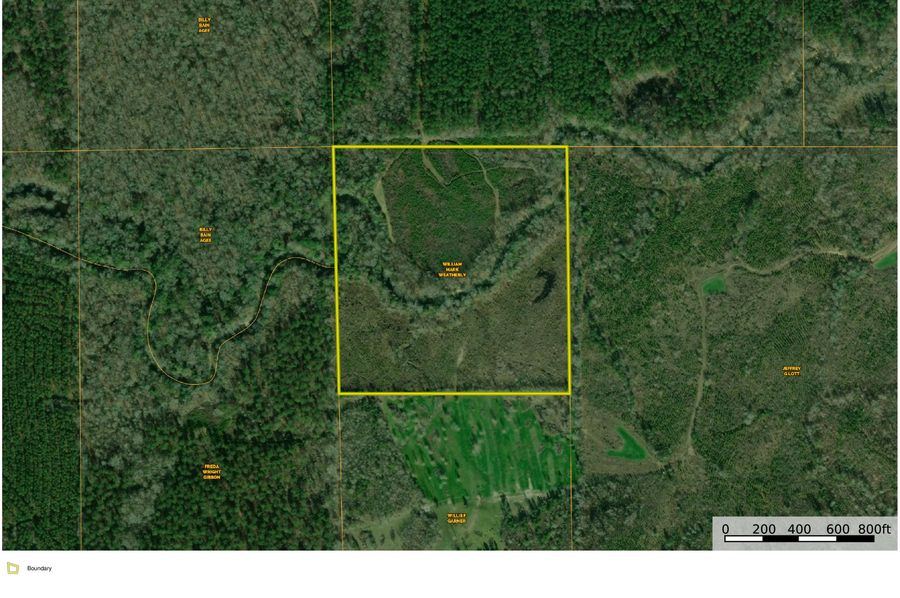 Wilcox County, AL 40 Acres Anderson-page-0 (1)