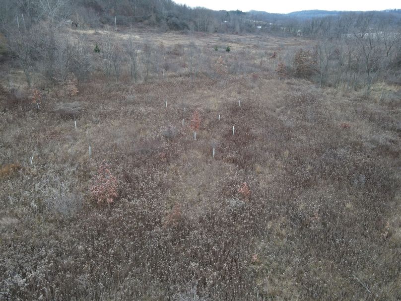 dji_fly_20221213_074830_6_1670935722659_photo