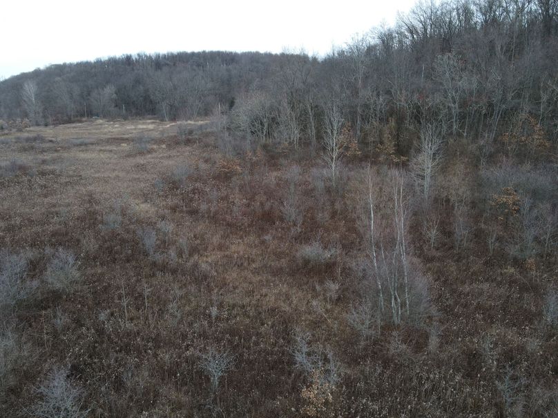 dji_fly_20221213_075236_8_1670935966435_photo