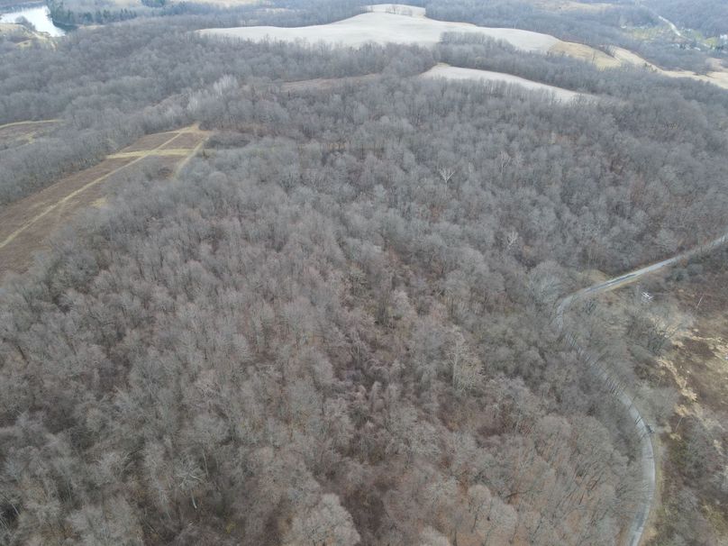 dji_fly_20221213_080434_17_1670936685940_photo