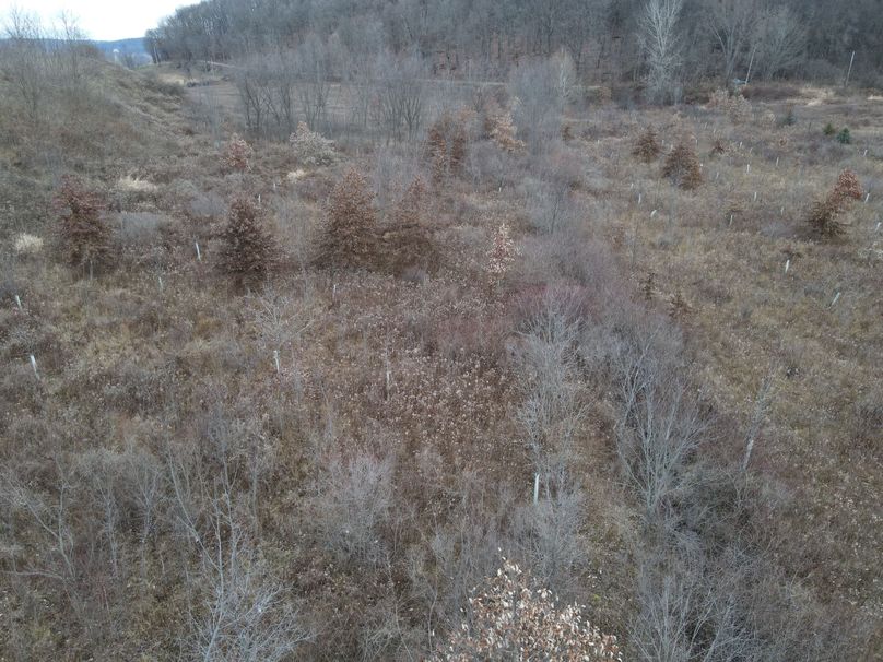 dji_fly_20221213_074628_4_1670935599886_photo