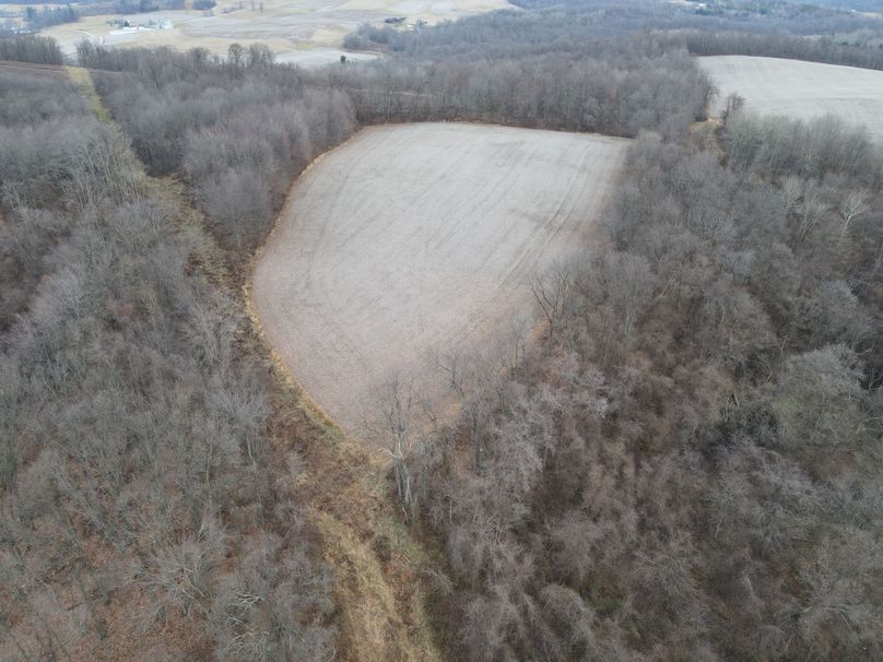 dji_fly_20221213_075632_13_1670936202355_photo