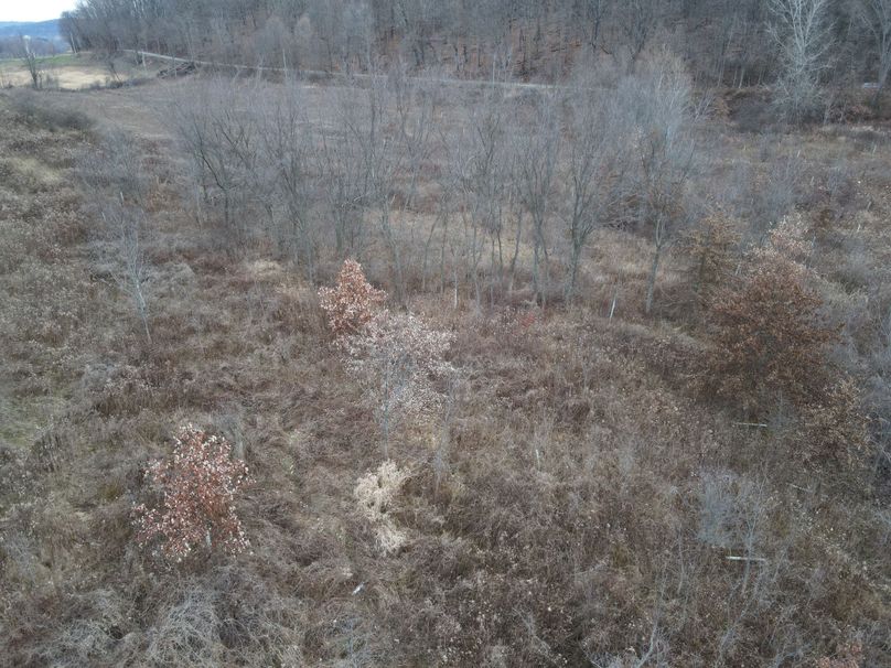 dji_fly_20221213_074704_5_1670935634102_photo