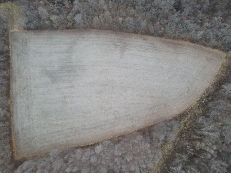 dji_fly_20221213_080058_15_1670936469580_photo