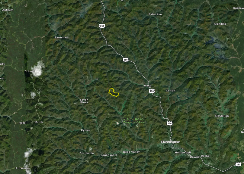 Screen Shot 2022-12-15 at 7.13.02 PM