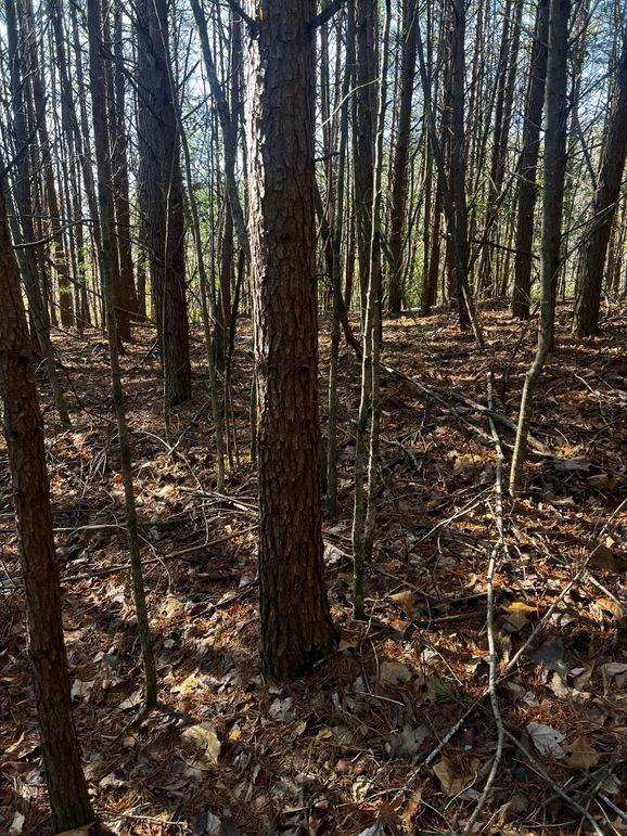 502C5459-E92F-4285-BD96-33424B910598