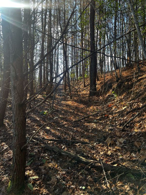 F3DCCD0F-32E7-472E-BAF9-F6FBF629AB7B