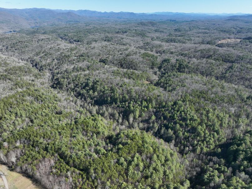 4A111C97-7DBD-4BD0-AFE8-7CBE568A0E93