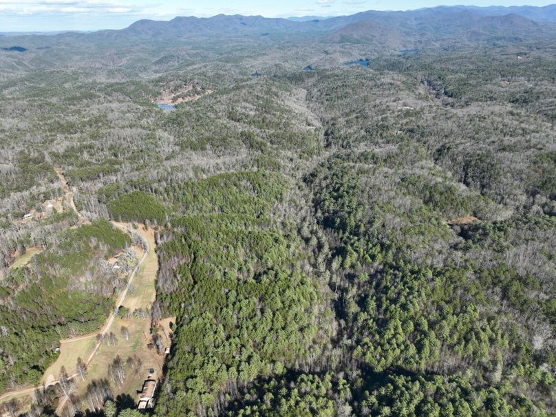 70C06036-19E4-457B-92E9-B53BAC542FD1