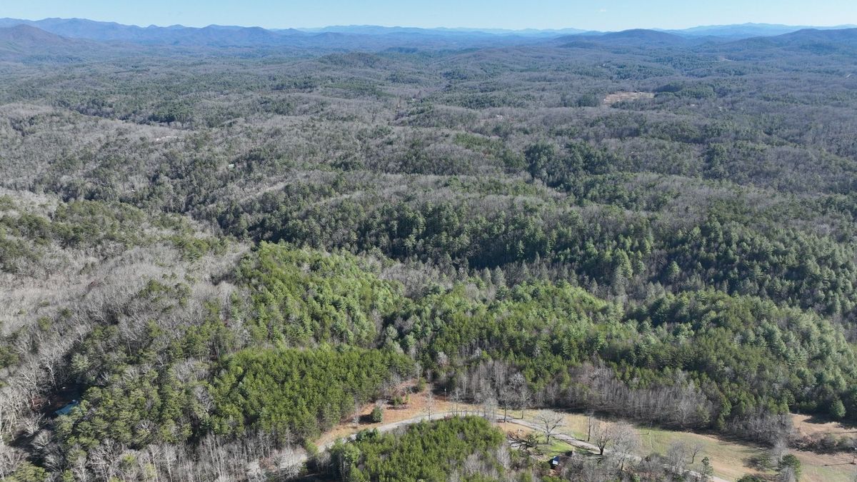 Southeast TN Secluded Wooded Tract Whitetail Properties
